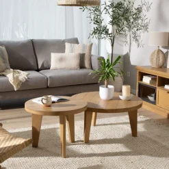 Banak Amaia Ensemble de 2 tables basses en bois massif de manguier