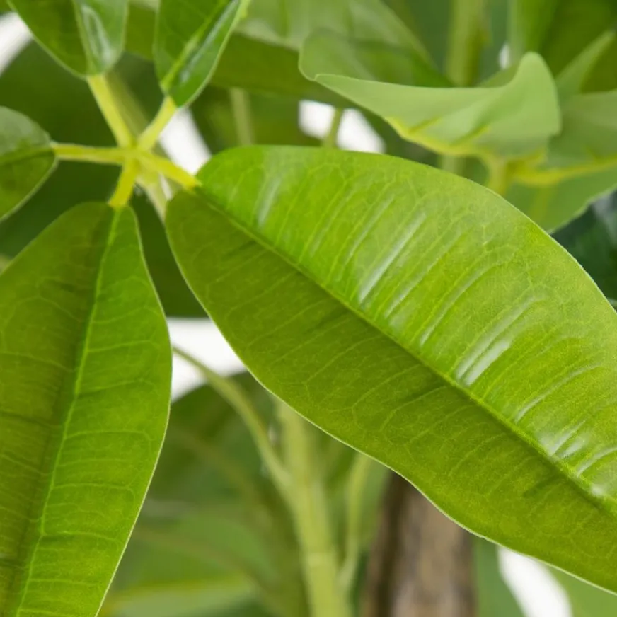 Banak Bambou Arbre pvc