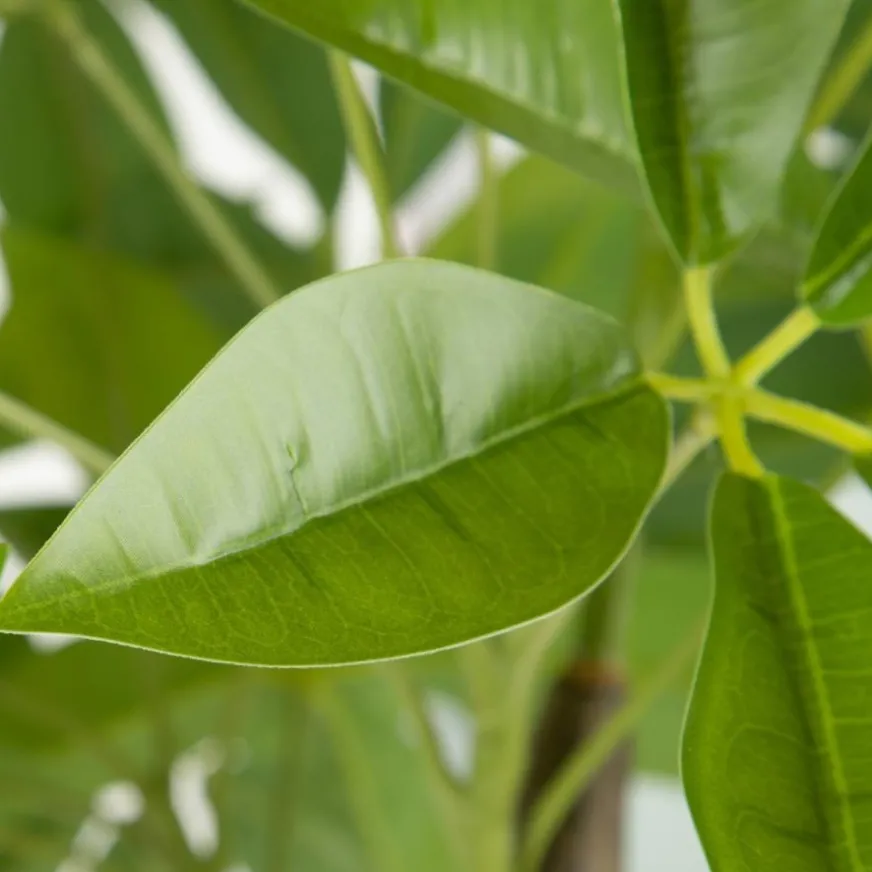 Banak Bambou Arbre pvc