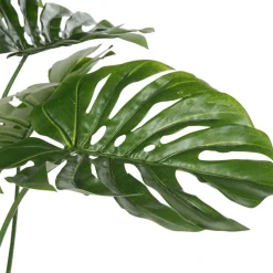 Banak Bowa Plante faux philodendron
