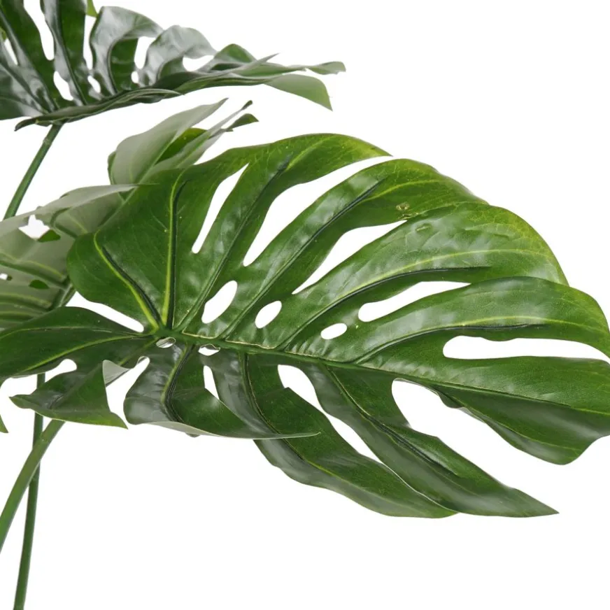 Banak Bowa Plante faux philodendron