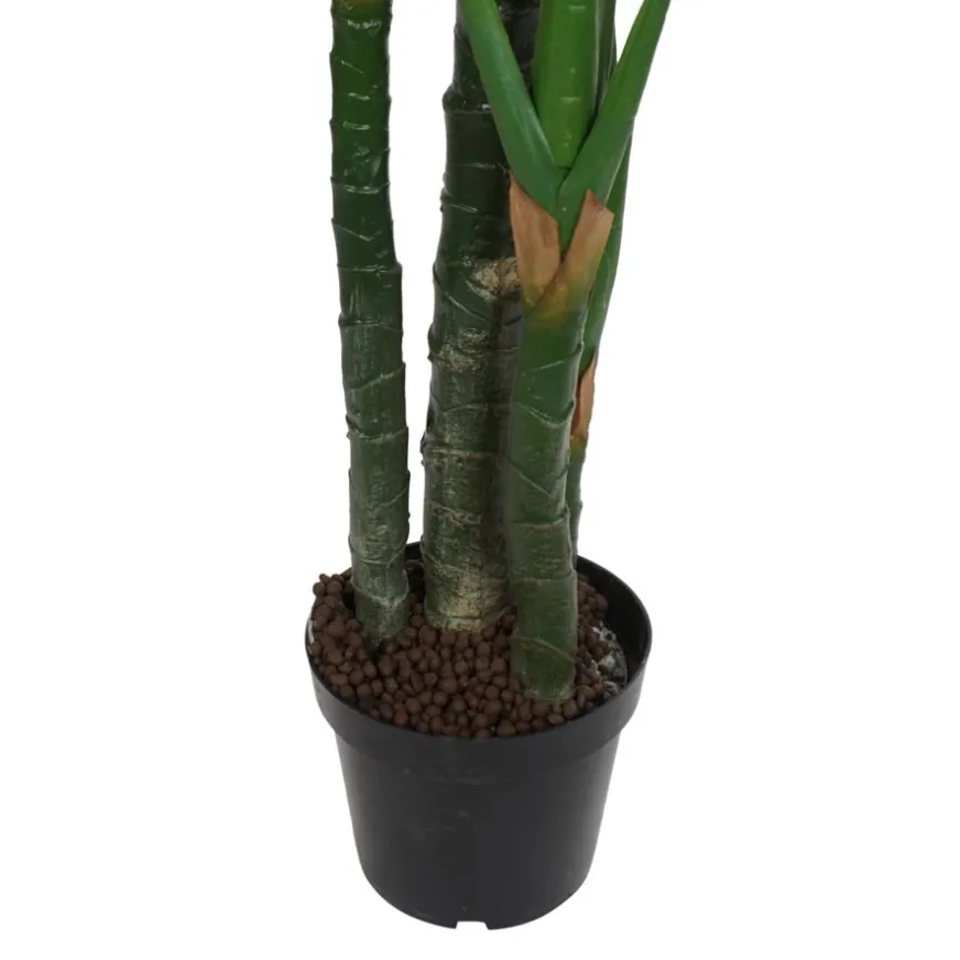 Banak Bowa Plante faux philodendron