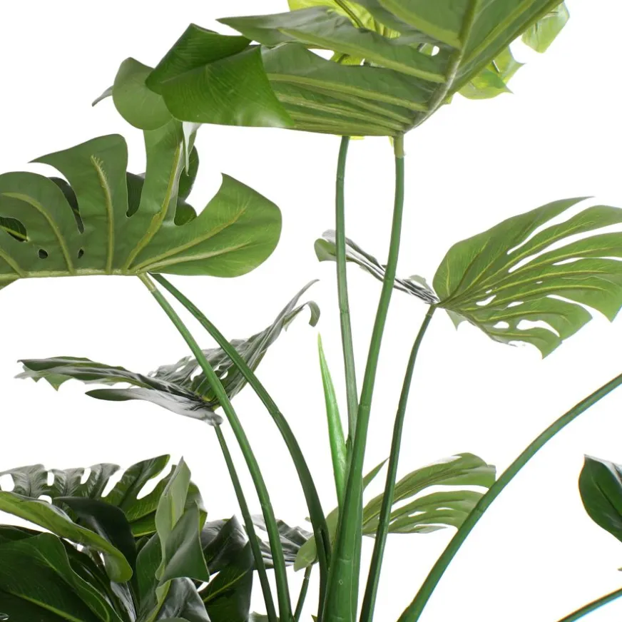 Banak Bowa Plante faux philodendron