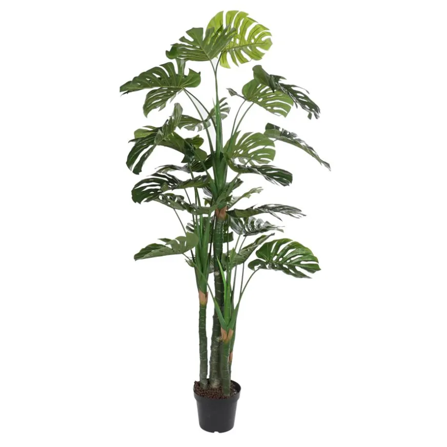 Banak Bowa Plante faux philodendron