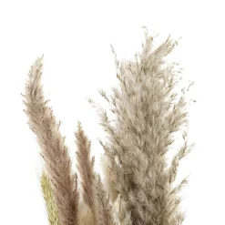 Banak Branche De fleurs séchées