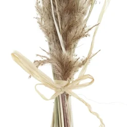 Banak Branche De fleurs séchées