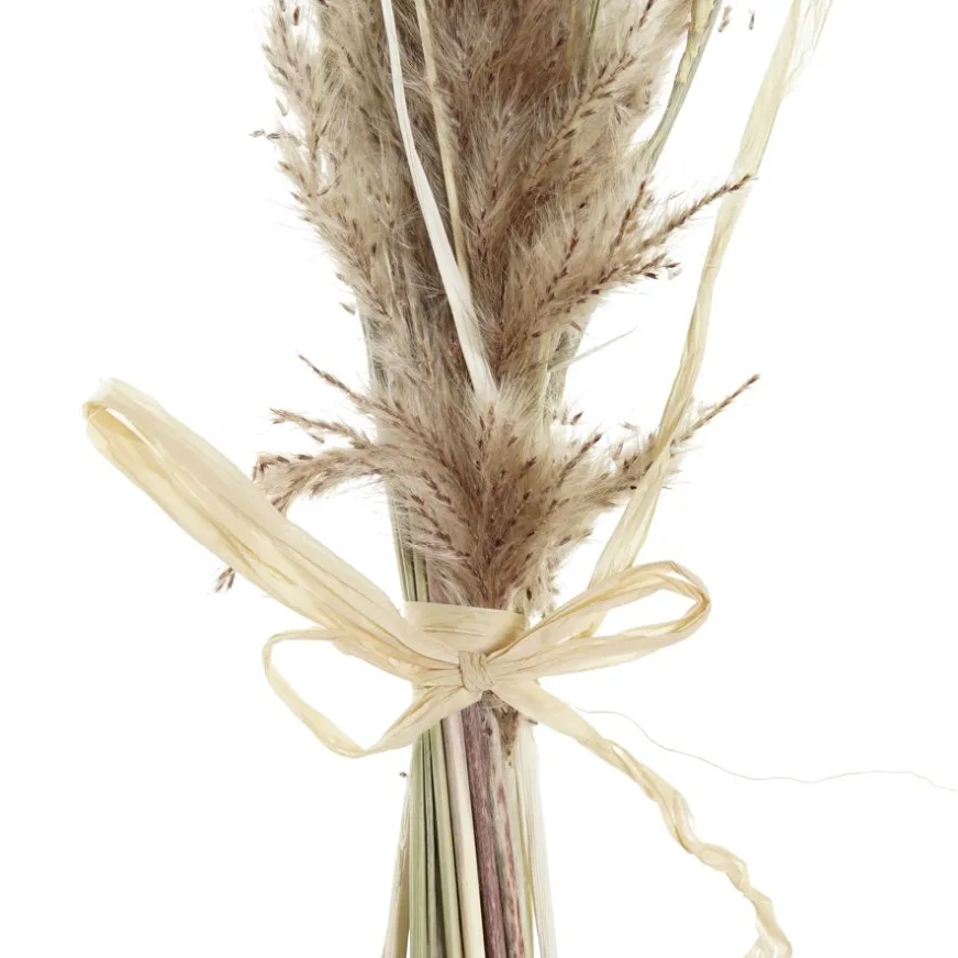 Banak Branche De fleurs séchées