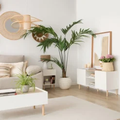 Banak Canes Meuble tv petit blanc mat et naturel duna