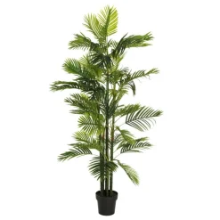 Banak Coly Plant areca palm tree green "pvc"