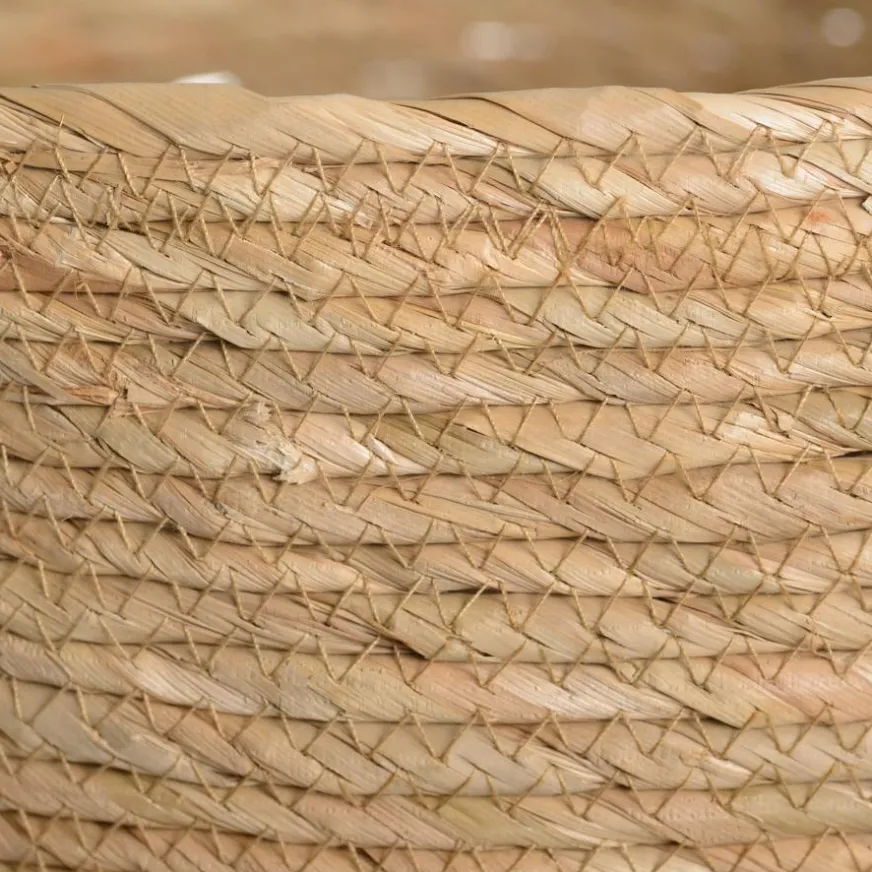 Banak Greg Set 3 paniers