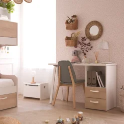 Banak Hudson Silla tapizada gris