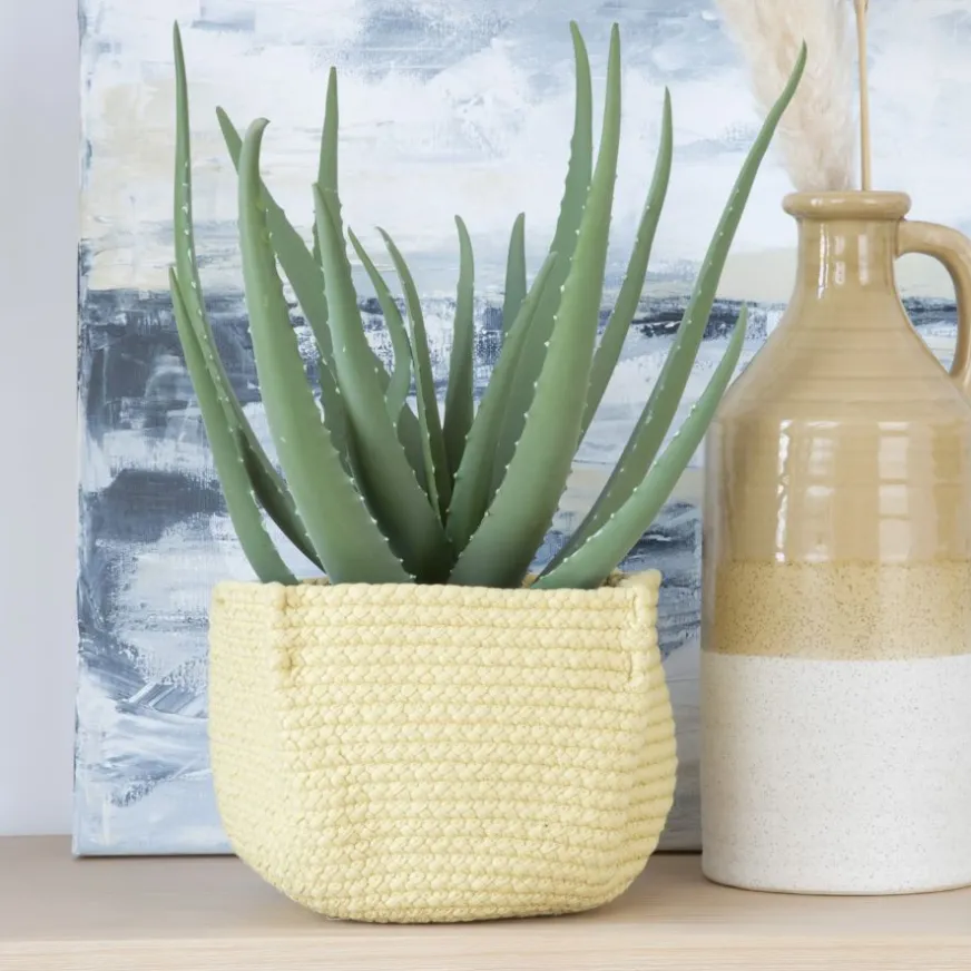 Banak Kuas Corbeille