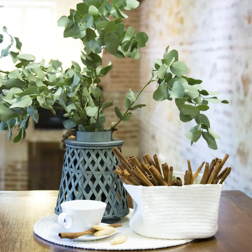 Banak Kuas Corbeille