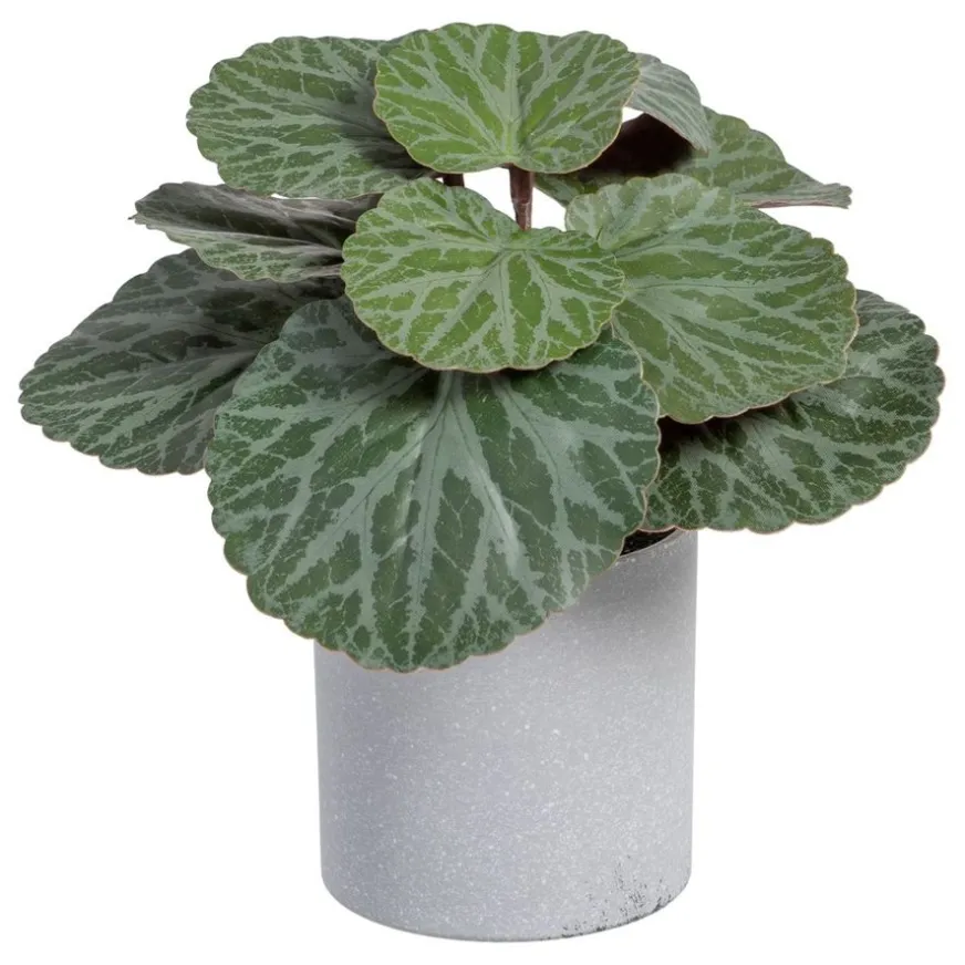 Banak Lampe Plante en polyéthylène et fer