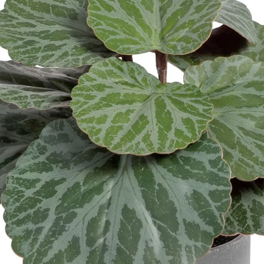 Banak Lampe Plante en polyéthylène et fer