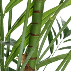 Banak Nidur Plante bambou vert pvc