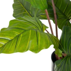 Banak Pakes Plante décorative en pvc