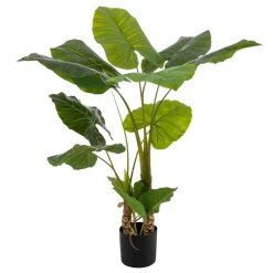 Banak Pana Plante artificielle