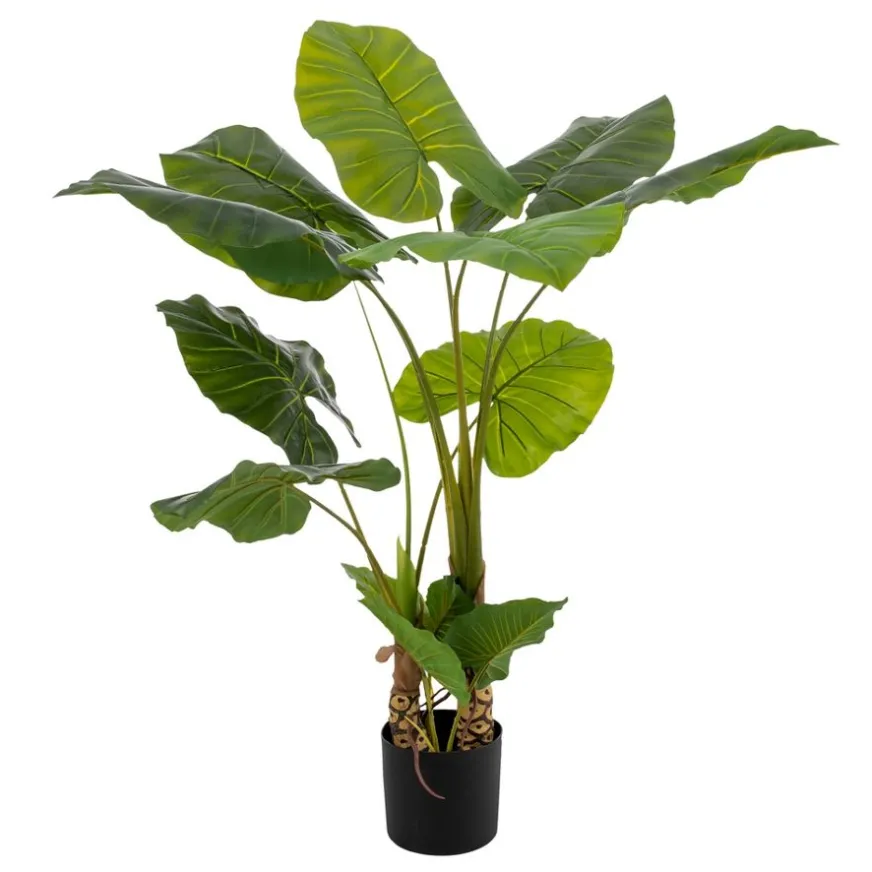 Banak Pana Plante artificielle