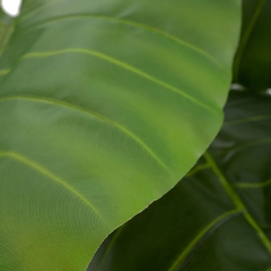 Banak Pana Plante artificielle