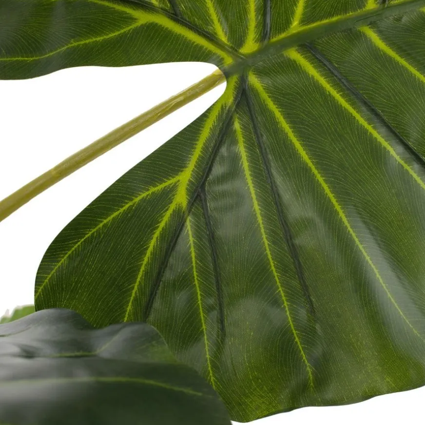 Banak Pana Plante artificielle