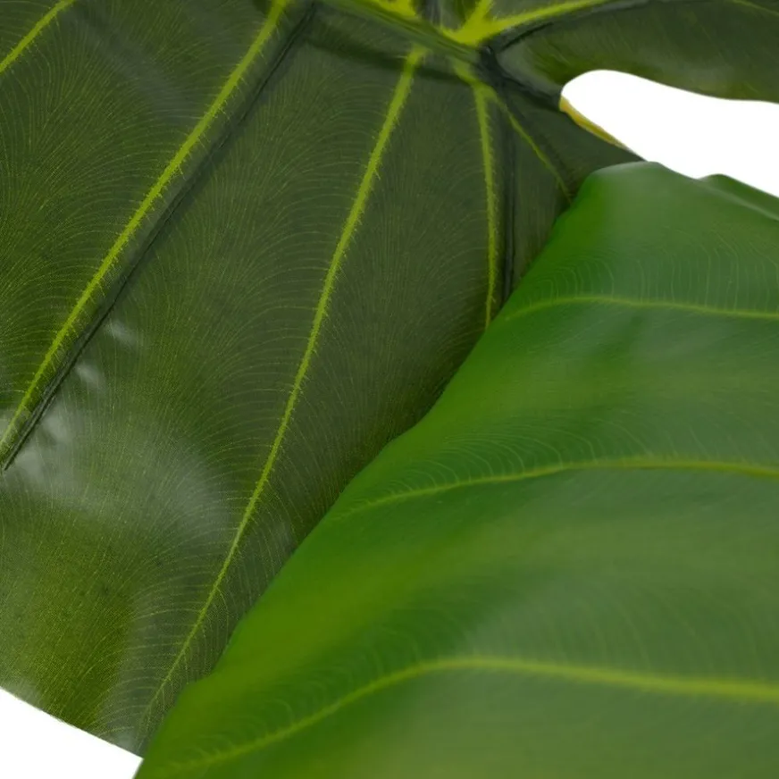 Banak Pana Plante artificielle