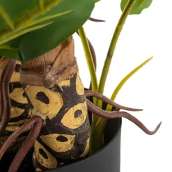 Banak Pana Plante artificielle