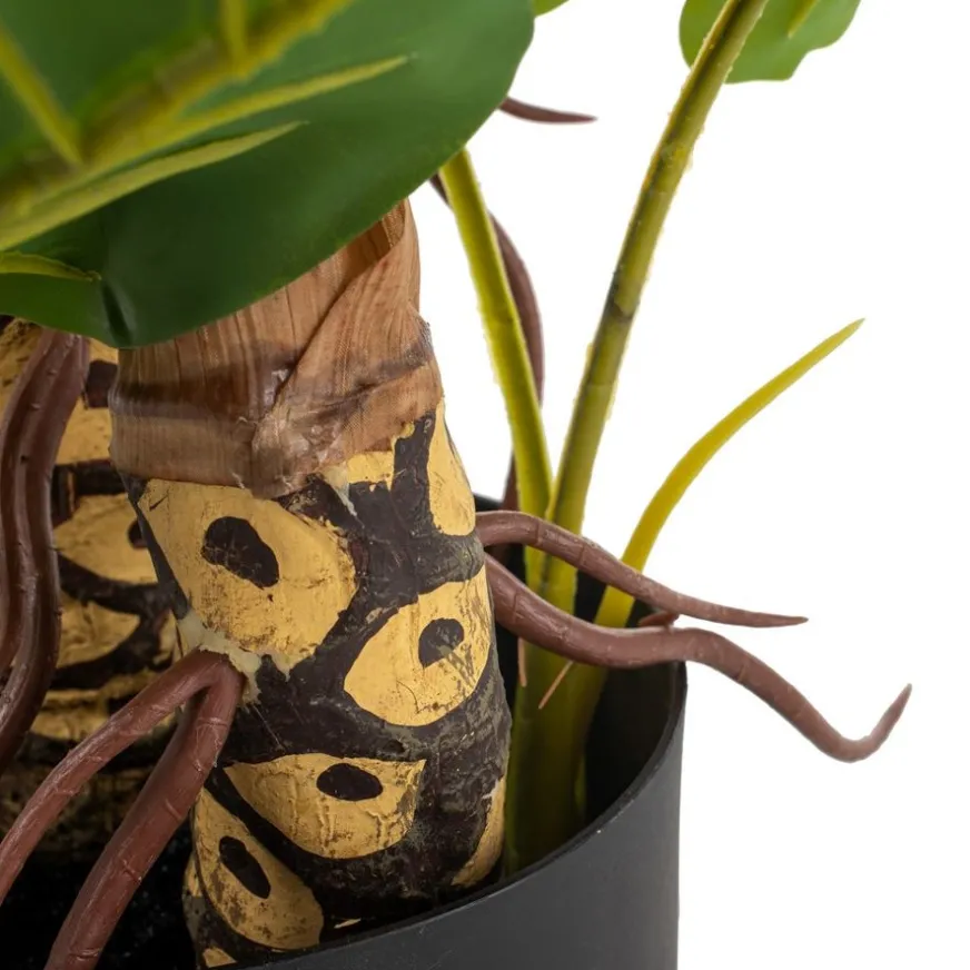 Banak Pana Plante artificielle