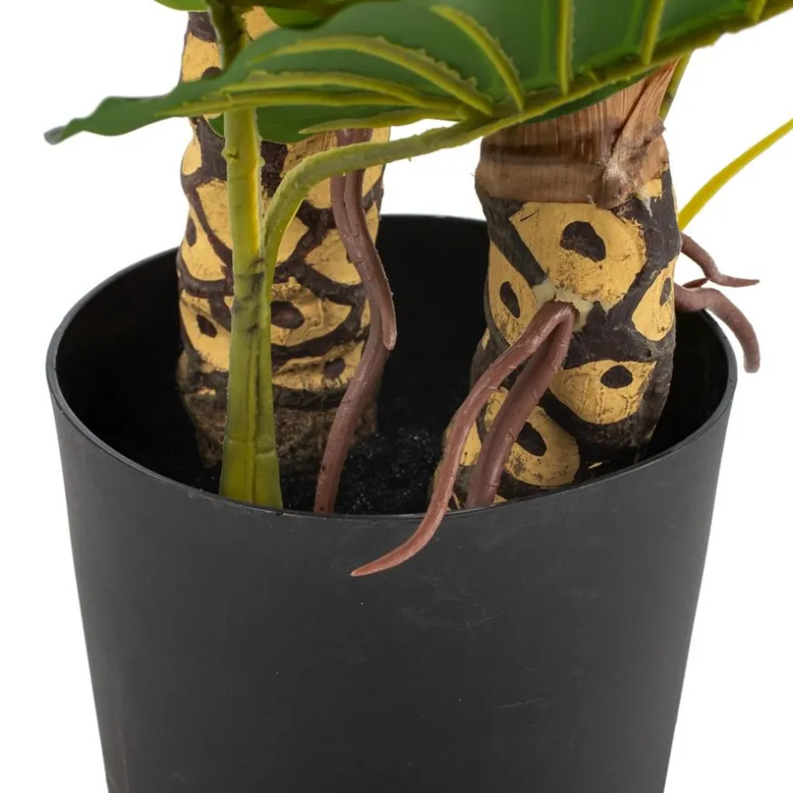 Banak Pana Plante artificielle