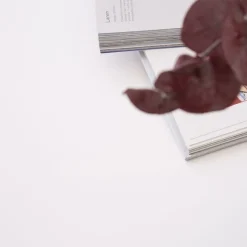 Banak Sisal Table basse en bois laqué blanc