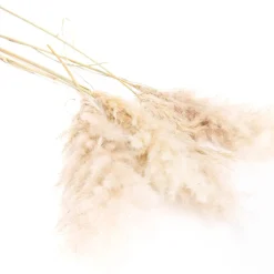 Banak Tade Tige naturelle h115