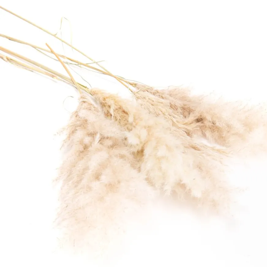 Banak Tade Tige naturelle h115