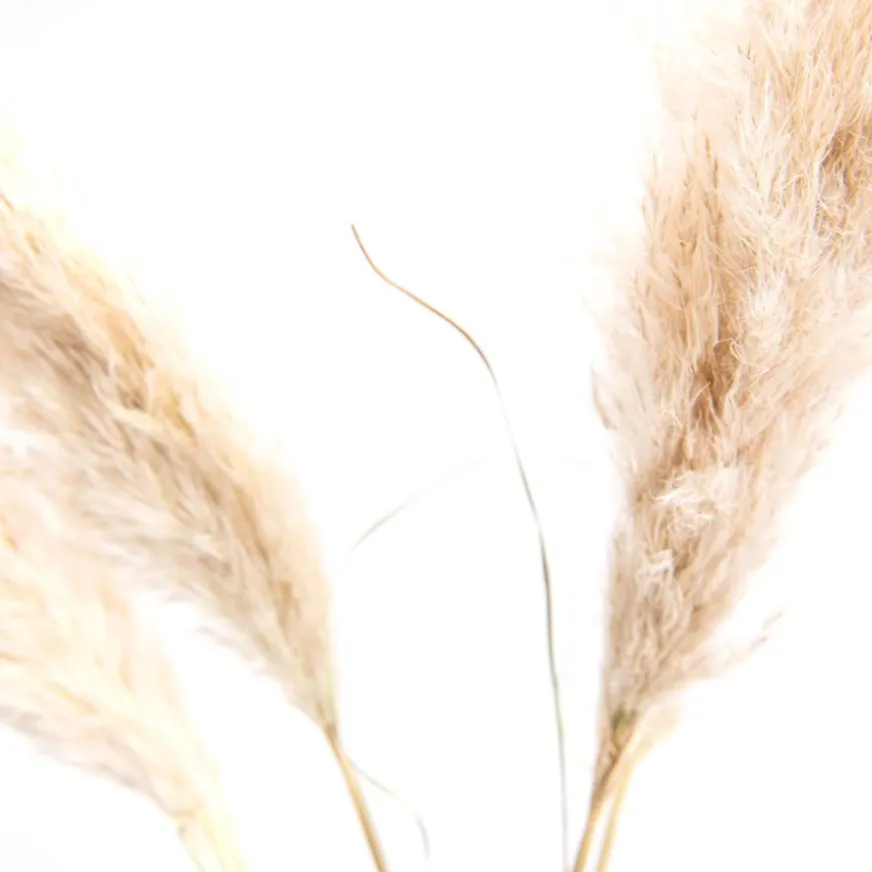 Banak Tade Tige naturelle h115